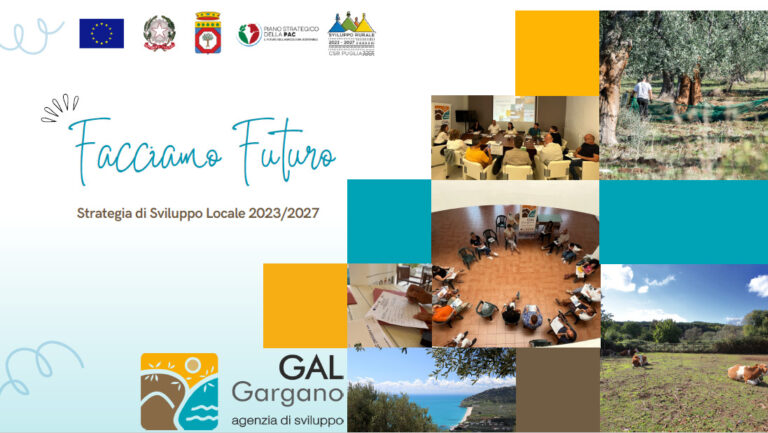 Sintesi della Strategia di Sviluppo Locale (PDF)