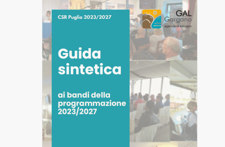 Guida sintetica ai bandi (PDF)